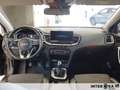 Kia XCeed 1.0 t-gdi Business Gpl 117cv - thumbnail 8