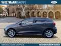 Ford Fiesta Titanium 1.0 EcoBoost, Sitzheizung, Lenkradheizung Grau - thumbnail 5