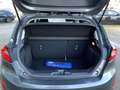 Ford Fiesta Titanium 1.0 EcoBoost, Sitzheizung, Lenkradheizung Grau - thumbnail 8