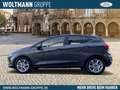 Ford Fiesta Titanium 1.0 EcoBoost, Sitzheizung, Lenkradheizung Grau - thumbnail 2