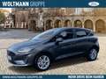 Ford Fiesta Titanium 1.0 EcoBoost, Sitzheizung, Lenkradheizung Grau - thumbnail 1