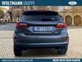 Ford Fiesta Titanium 1.0 EcoBoost, Sitzheizung, Lenkradheizung Grau - thumbnail 4