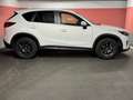 Mazda CX-5 175 AWD RevolutionTOP*Bose*LED*RFK*Radar*Totwinkel Weiß - thumbnail 3