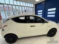 Lancia Ypsilon Ypsilon 1.0 FireFly 5 porte S&S Hybrid Ecochic Si Wit - thumbnail 2