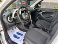 smart forFour Forfour II 2015 1.0 Passion 71cv my19 Bianco - thumbnail 9