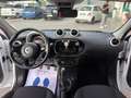 smart forFour Forfour II 2015 1.0 Passion 71cv my19 Bianco - thumbnail 11