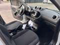 smart forFour Forfour II 2015 1.0 Passion 71cv my19 Bianco - thumbnail 10