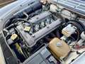 Alfa Romeo Spider Spider 2.0 Veloce 128cv Beyaz - thumbnail 11