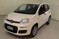 Fiat New Panda 0.9 t.air t. natural power Easy 80cv my19 Blanc - thumbnail 13