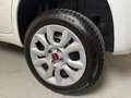 Fiat New Panda 0.9 t.air t. natural power Easy 80cv my19 Blanc - thumbnail 11