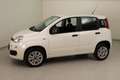Fiat New Panda 0.9 t.air t. natural power Easy 80cv my19 Blanc - thumbnail 16