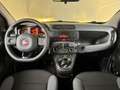 Fiat New Panda 0.9 t.air t. natural power Easy 80cv my19 Blanc - thumbnail 7