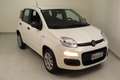 Fiat New Panda 0.9 t.air t. natural power Easy 80cv my19 Blanc - thumbnail 12