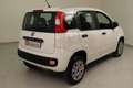 Fiat New Panda 0.9 t.air t. natural power Easy 80cv my19 Blanc - thumbnail 17