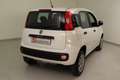Fiat New Panda 0.9 t.air t. natural power Easy 80cv my19 Blanc - thumbnail 14