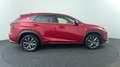 Lexus NX 300h AWD F Sport Premium Rosso - thumbnail 6