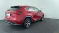 Lexus NX 300h AWD F Sport Premium Rosso - thumbnail 5