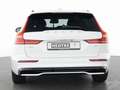 Volvo V60 B4 Diesel Plus Dark 19"+AHK+PANO+STANDHZ+360 Wit - thumbnail 14