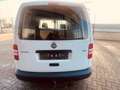 Volkswagen Caddy Kasten EcoProfi Weiß - thumbnail 4