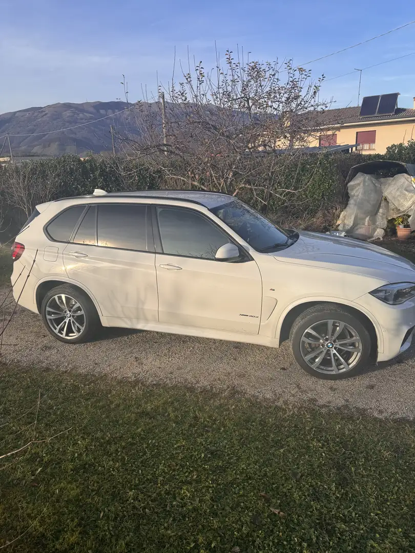 BMW X5 xdrive30d Luxury 249cv auto - 2