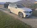 BMW X5 xdrive30d Luxury 249cv auto - thumbnail 10