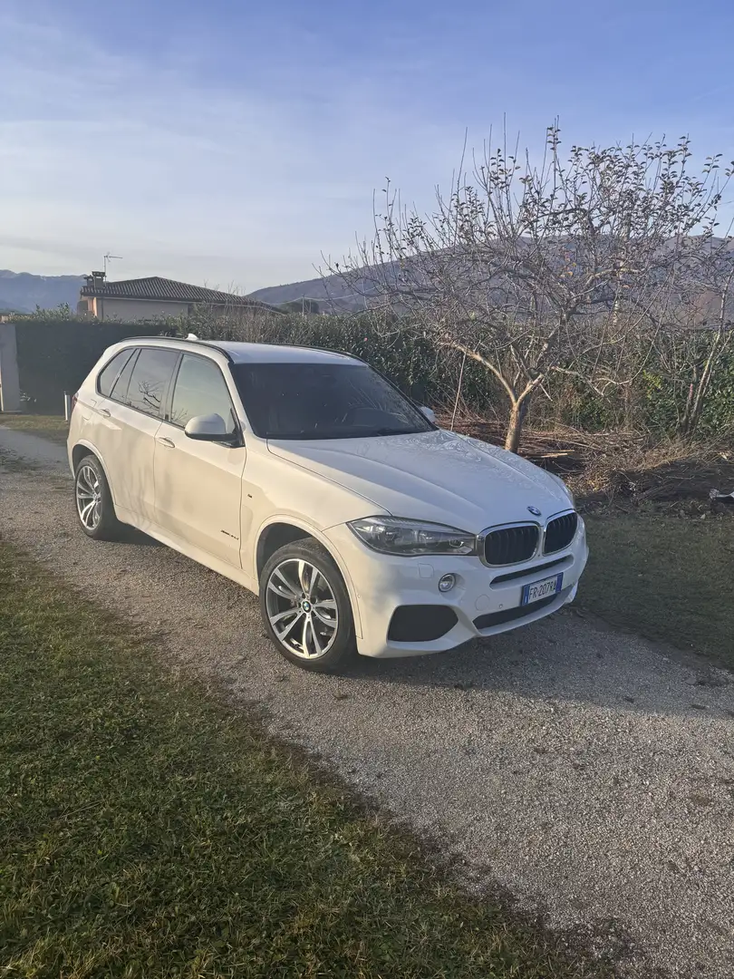 BMW X5 xdrive30d Luxury 249cv auto - 1
