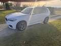 BMW X5 xdrive30d Luxury 249cv auto - thumbnail 6