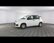 Fiat Panda 1.0 FireFly Hybrid Bianco - thumbnail 1