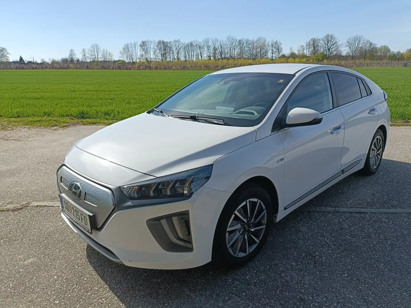 Hyundai IONIQ Elektro 38kWh Level 4 ACC Klima 8-fach - 1