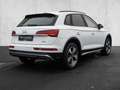 Audi Q5 SUV S line 40 TDI quattro S tronic Weiß - thumbnail 4