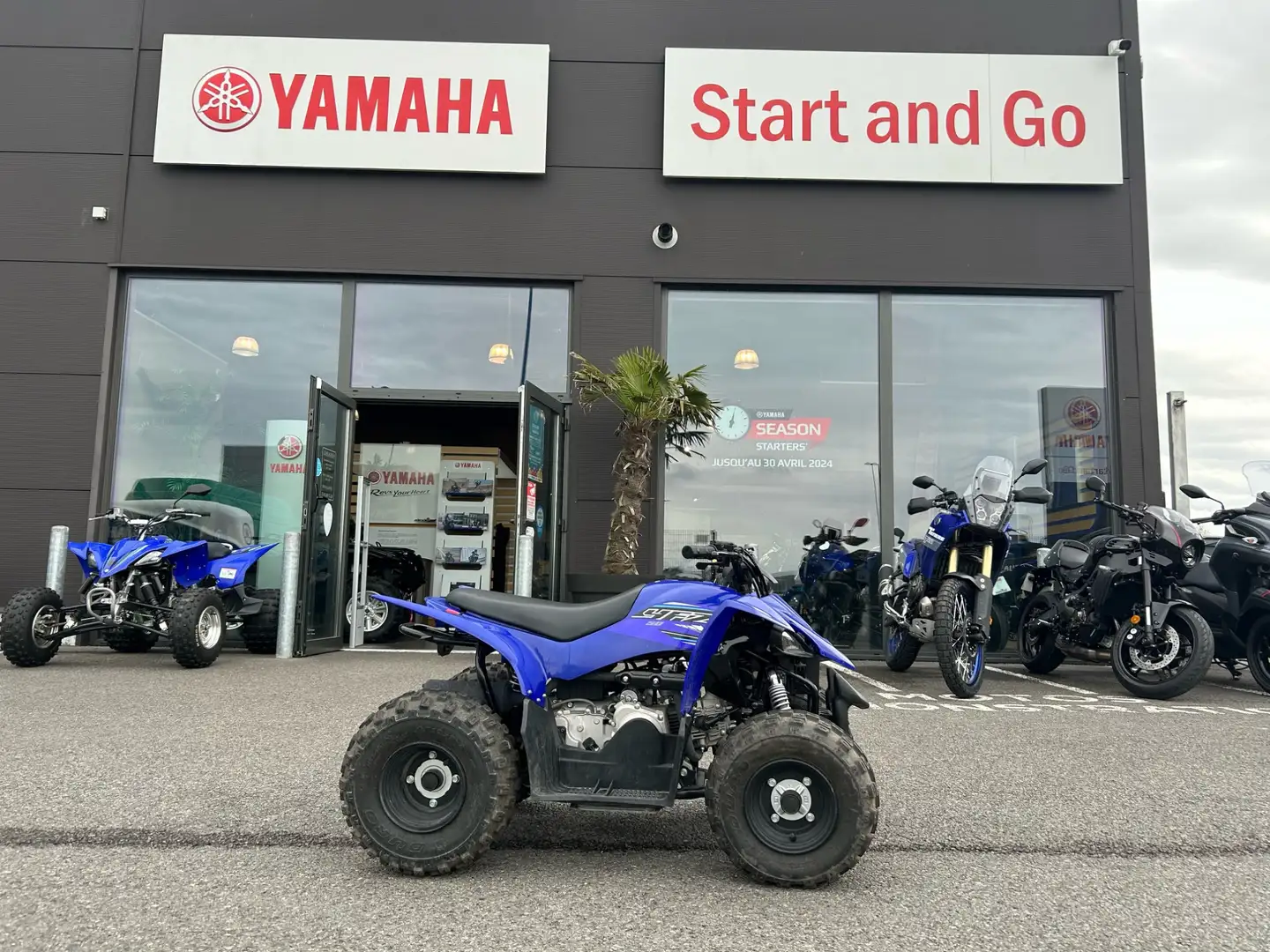 Yamaha YFZ 50 Bleu - 1