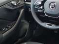 Skoda Kamiq 1.0 tsi selection 95cv Grigio - thumbnail 14