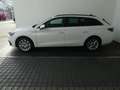 SEAT Leon Style 1.5 TSI ACT 130 PS Weiß - thumbnail 3