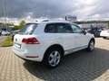 Volkswagen Touareg 3,0 V6 TDI BMT AUT/ALL/AHK/NAV/Leder Blanc - thumbnail 5