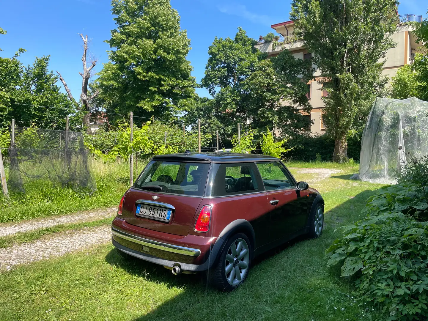 MINI Cooper Velvet Red Rosso - 2