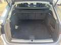 Audi A4 Avant 2.0 TDI Business 122CV S tronic Grigio - thumbnail 6