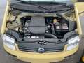 Fiat Panda 1.2 Dynamic UNICO PROPRIETARIO RARISSIMA PER KM Giallo - thumbnail 4