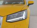 Audi Q2 1.6 tdi business design s-tronic Giallo - thumbnail 13