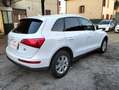 Audi Q5 Q5 I 2008 2.0 tdi quattro 170cv s-tronic dpf Bianco - thumbnail 4