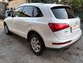 Audi Q5 Q5 I 2008 2.0 tdi quattro 170cv s-tronic dpf Bianco - thumbnail 6