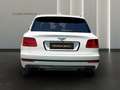 Bentley Bentayga 4.0 V8 4WD AUTO Weiß - thumbnail 7