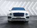 Bentley Bentayga 4.0 V8 4WD AUTO Alb - thumbnail 2