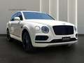 Bentley Bentayga 4.0 V8 4WD AUTO Blanc - thumbnail 3