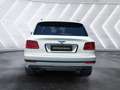 Bentley Bentayga 4.0 V8 4WD AUTO Alb - thumbnail 7