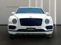Bentley Bentayga 4.0 V8 4WD AUTO Blanc - thumbnail 1