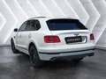Bentley Bentayga 4.0 V8 4WD AUTO Alb - thumbnail 6