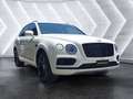 Bentley Bentayga 4.0 V8 4WD AUTO Alb - thumbnail 3