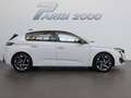 Peugeot 308 Allure PureTech 130CV S&S *PROMO PARISI GROUP* Bianco - thumbnail 6