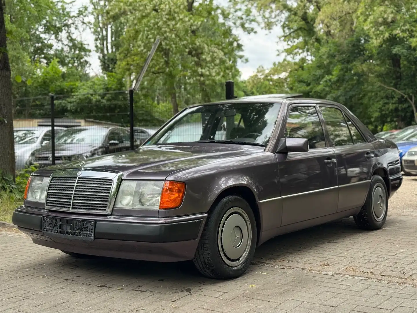 Mercedes-Benz 230 124 Automatik Schiebedach Karo H-Kennzeichen - 2