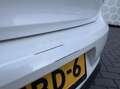Volkswagen Polo 1.2 TSI Highline R-line Panoramadak Xenon Weiß - thumbnail 14